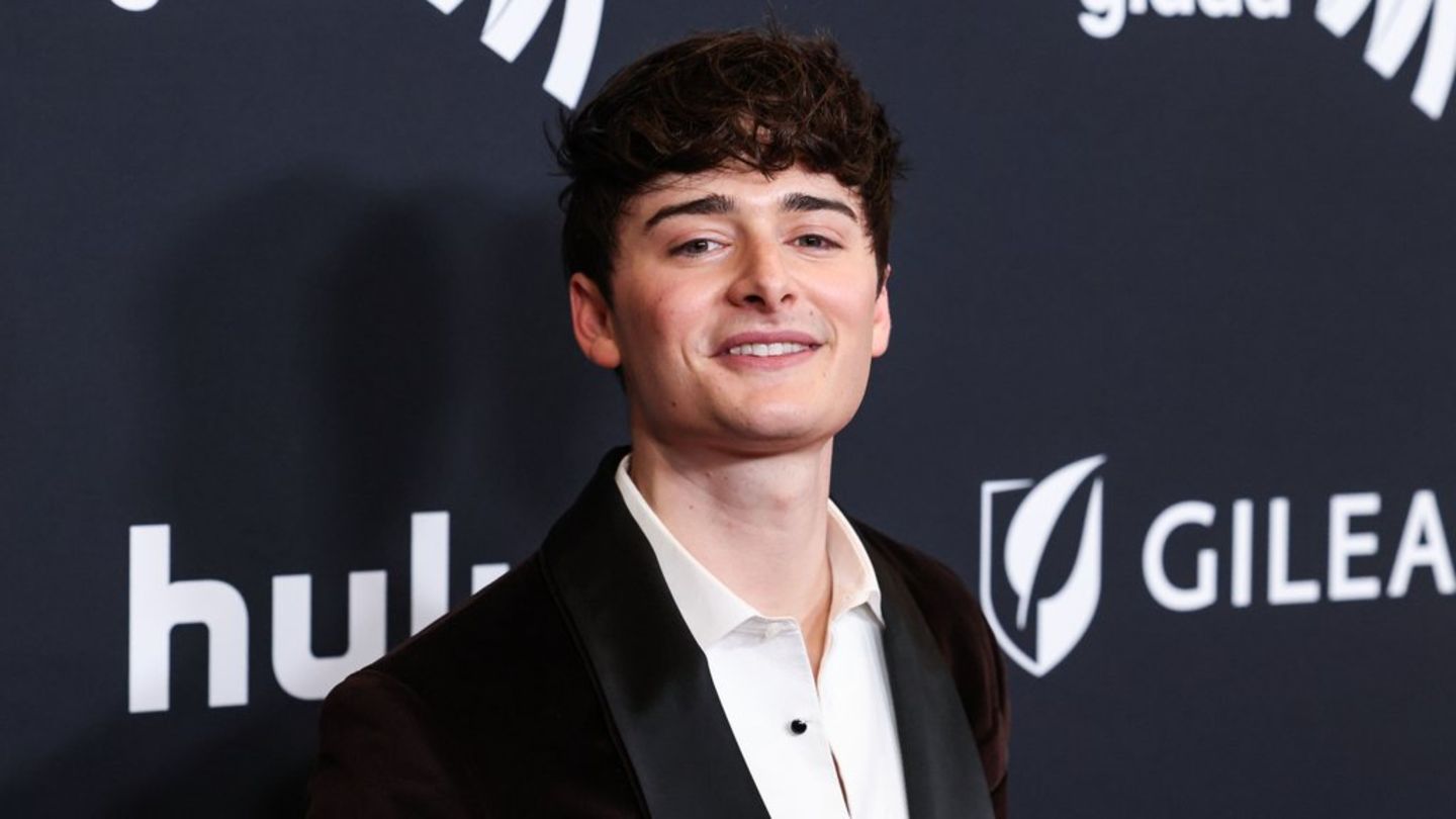 Noah Schnapp feiert seine neue Beziehung im Netz.