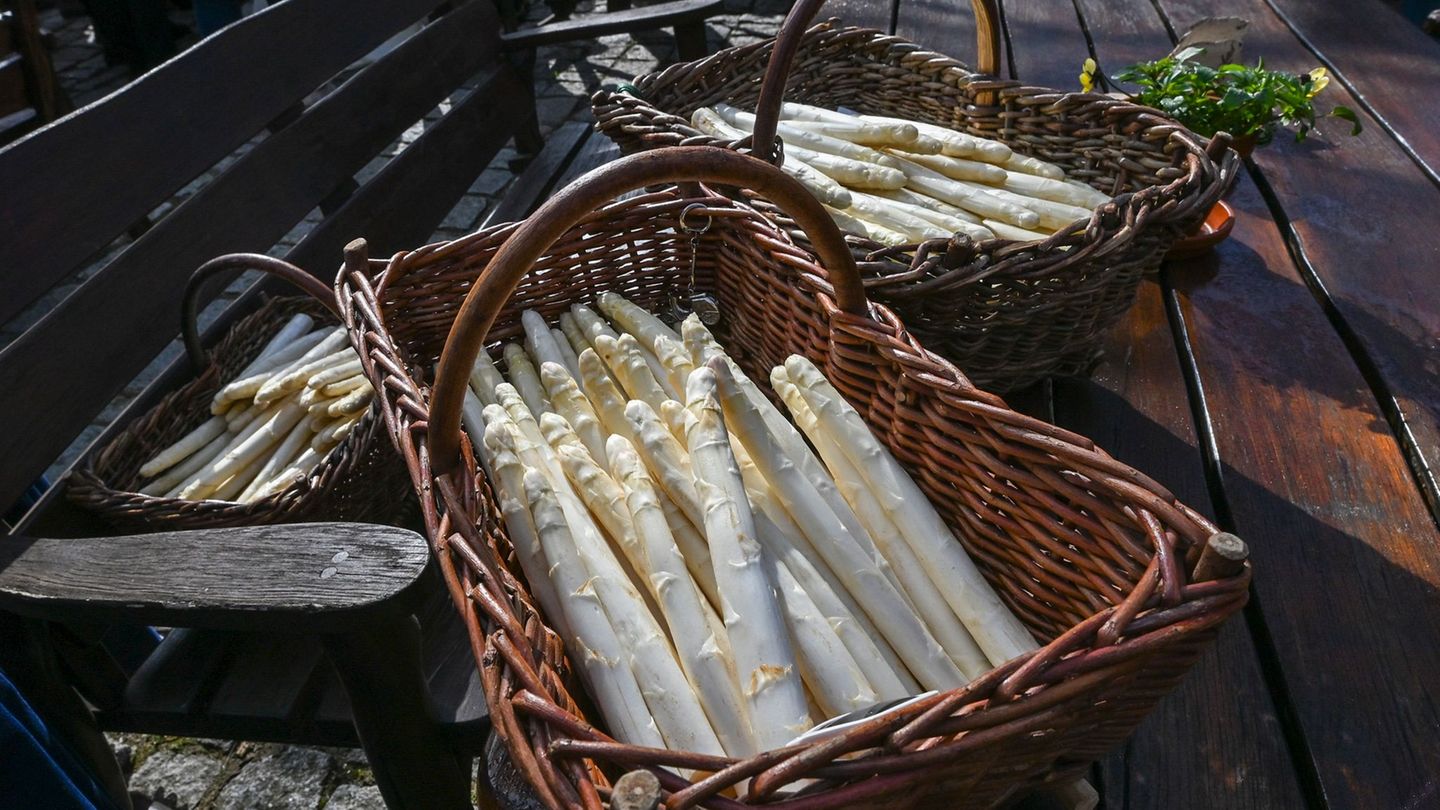 Er ist frisch vom Feld geholt: Der Beelitzer Spargel wird rechtzeitig vor Ostern geerntet. Foto: Jens Kalaene/dpa