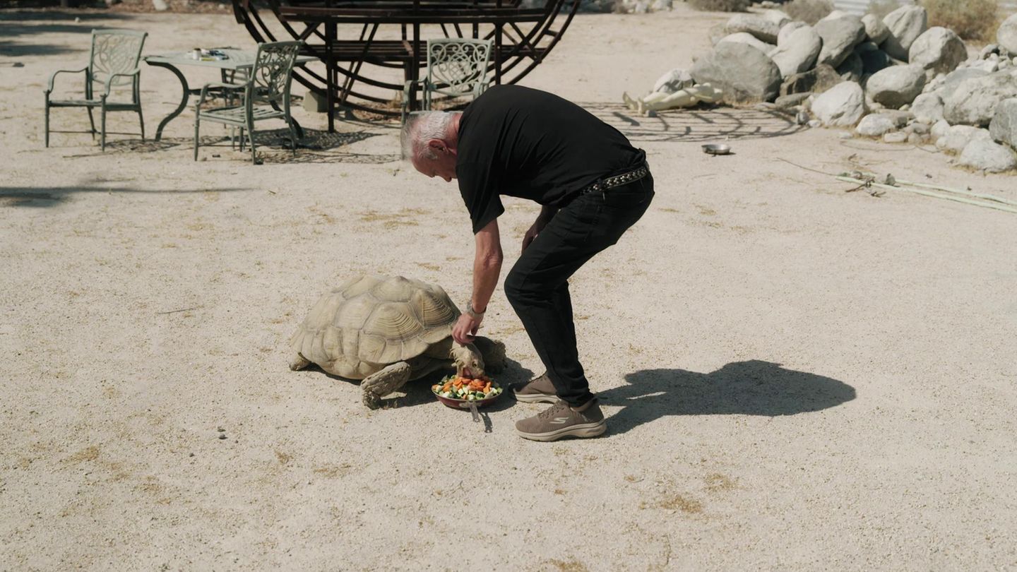 Udo Kier mit Schildkröte
