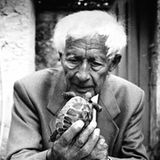 Als sich der Jahrhundert-Literat Ernst Jünger eine griechische Landschildkröte zulegte, war er bereits 100 Jahre alt. Das Tier war zwar ein Geschenk, doch der Autor von "In Stahlgewittern" und "Auf den Marmorklippen" hatte mit der Namenswahl Größeres im Sinne, nämlich ein klein wenig Ewigkeit. Hebe heißt das Tier, nach der Göttin der Jugend des antiken Griechenlands. 28 Jahre nach seinem Tod lebt das Reptil, heute etwa 40,  fröhlich weiter im Garten seines Hauses in Wilflingen. Die Lebenserwartung liegt bei guter Pflege zwischen 80 und 100. 