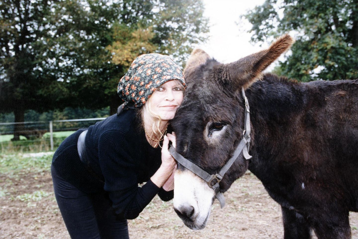 Brigitte Bardot mit Esel