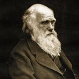 Das war dich klar, dass der Entwickler der Evolutionstheorie eine Schildkröte zum Haustier haben würde. Charles Darwin war 1809 geboren, Harriet hatte das Licht der Welt nur 21 Jahre später auf den Galapagos-Inseln erblickt. Der große Naturforscher sollte 1882 sterben, Harriet nicht bloß im nächsten, sondern im übernächsten Jahrhundert, nämlich 2006. Immerhin die Todesursache sollten sie schließlich teilen: Herzstillstand.    
