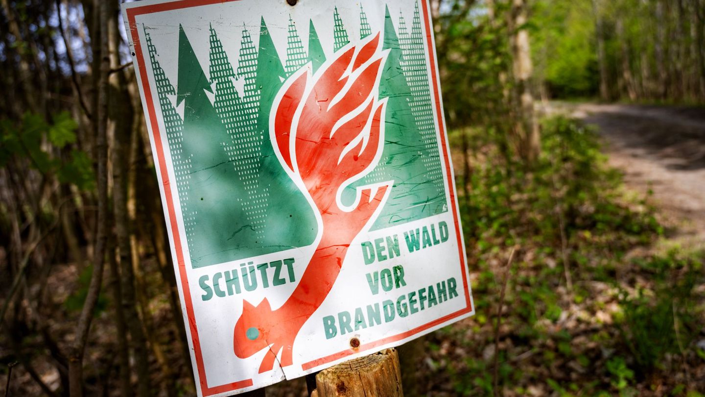 Aktuell ist die Waldbrandgefahr in MV gering. (Symbolbild) Foto: Stefan Sauer/dpa