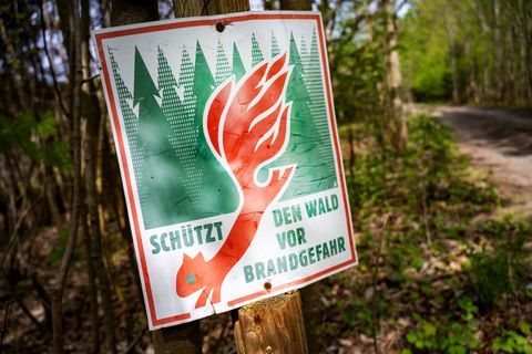 Aktuell ist die Waldbrandgefahr in MV gering. (Symbolbild) Foto: Stefan Sauer/dpa