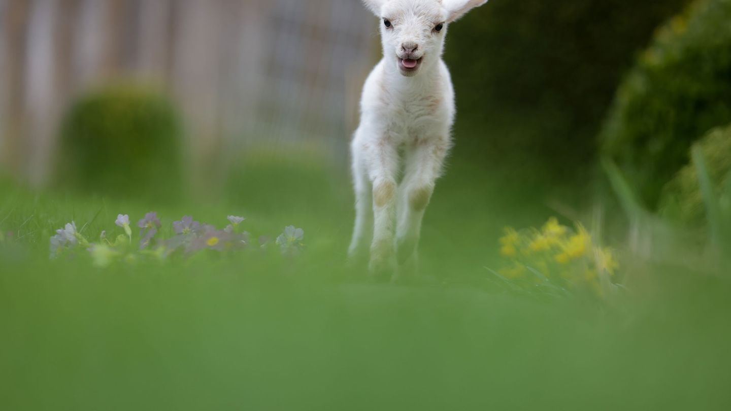 Wetterbericht: Wo die Feiertage stürmisch werden - und wo 23 Grad winken