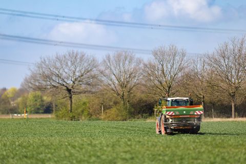 Nach einem oft bewölkten Wochenende kommt am Montag die Sonne heraus. (Archivbild) Foto: Christoph Reichwein/dpa