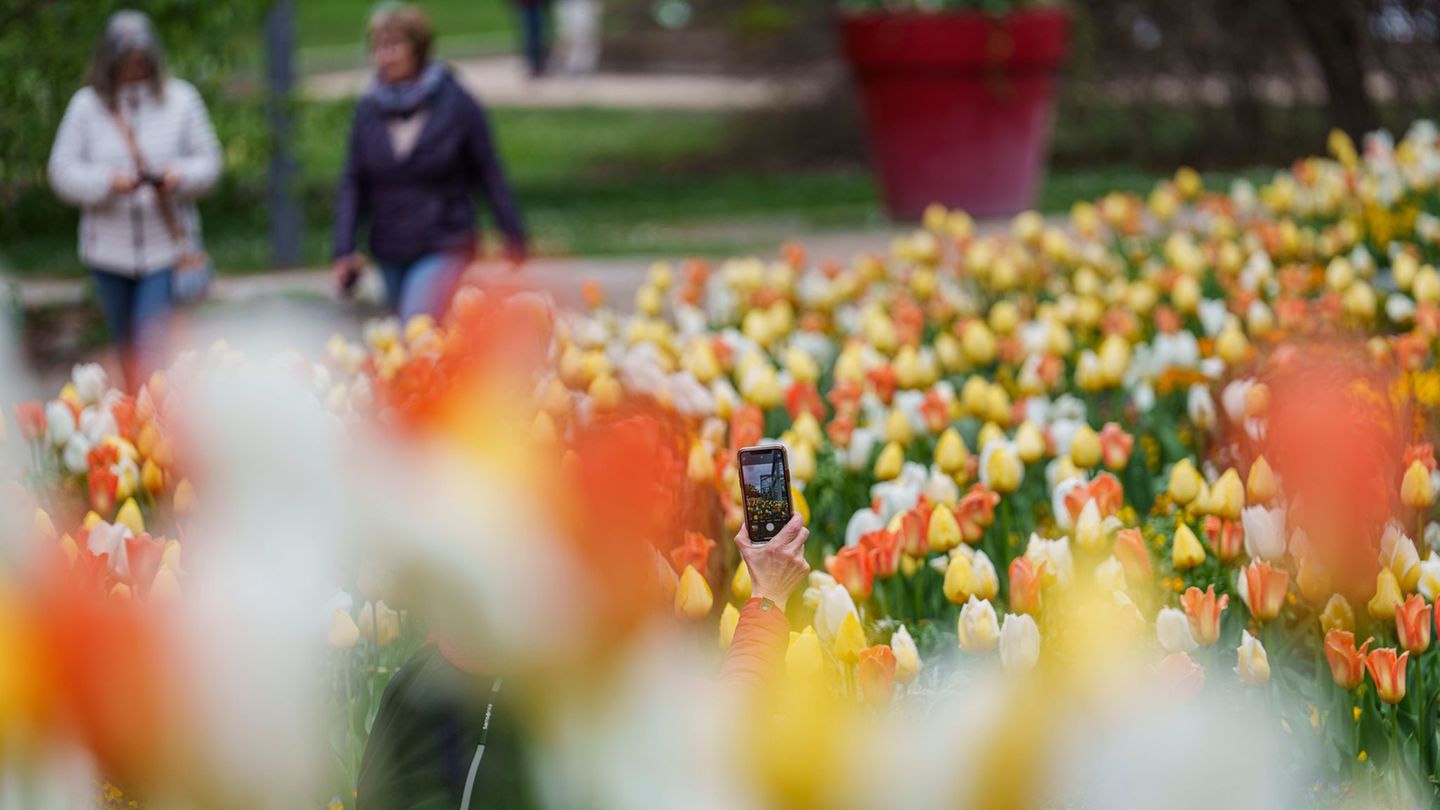 DWD-Vorhersage: Osterwetter in Hessen: Mix aus Sonne, Wolken und Regen