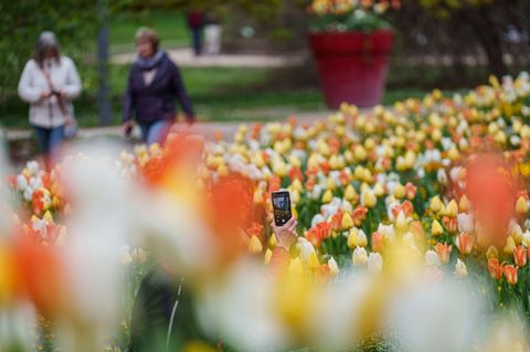 Wer am Wochenende nach draußen will, sollte vorher den Wetterbericht checken. (Symbolbild) Foto: Andreas Arnold/dpa
