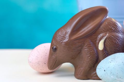 In Australien stiehlt der Bilby dem Osterhasen die Show.