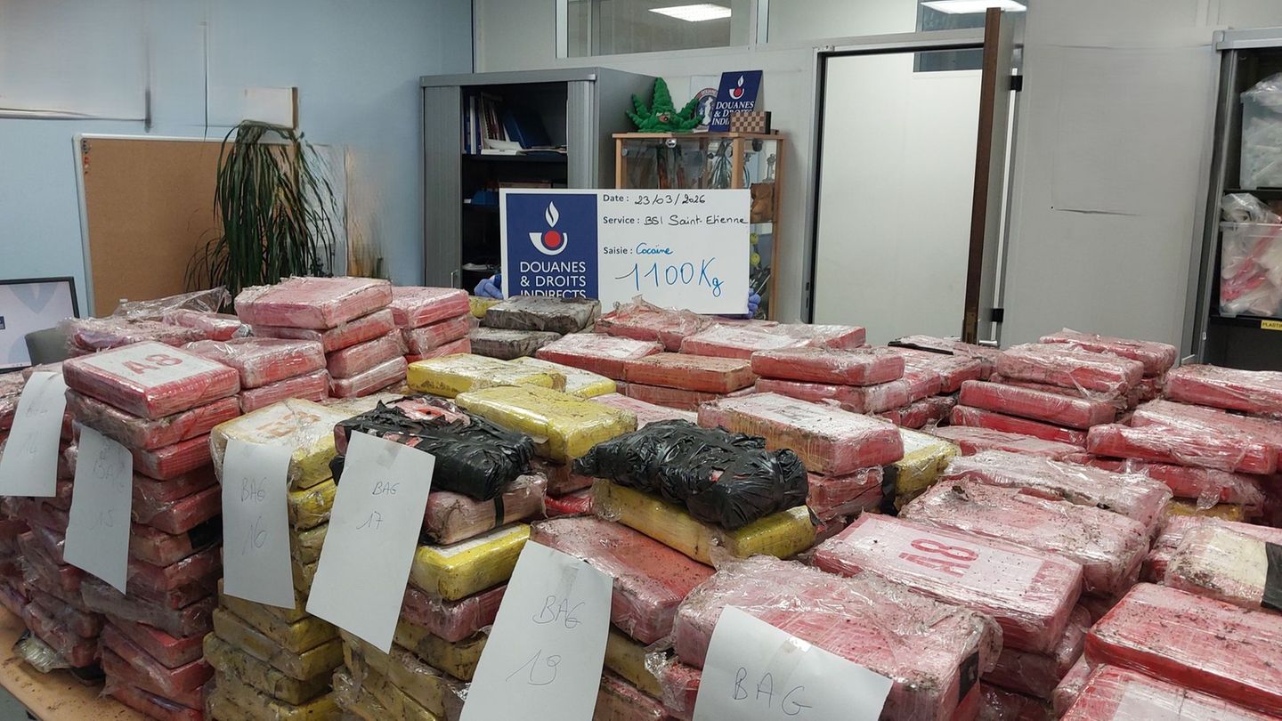 Frankreich: Zoll findet Kokain im Millionenwert in Blumenerde-Laster