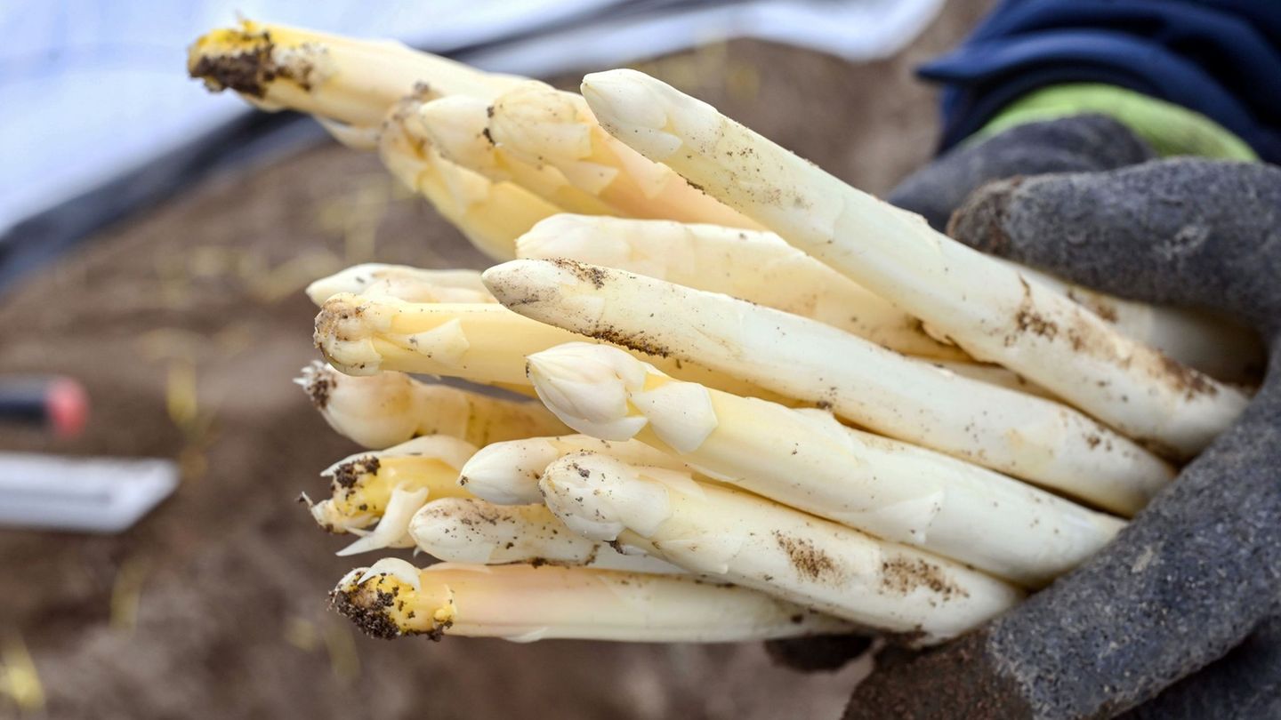 Wetter bremst Saisonstart: So viel kostet Spargel zu Ostern