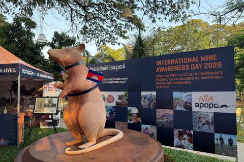 Magawas Denkmal steht im Zentrum der Kleinstadt Siem Reap. Foto: Carola Frentzen/dpa