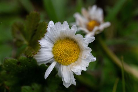 An Ostersonntag wird es zunächst verbreitet sonnig. (Symbolbild) Foto: Pia Bayer/dpa