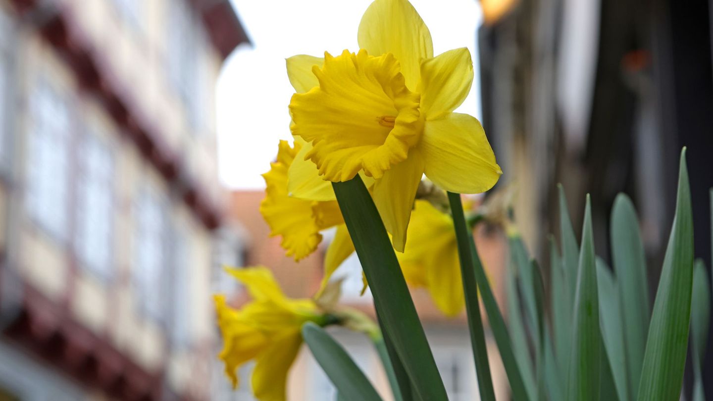 Wetter: Mild und launisch – Osterwetter bringt Sonne und Schauer
