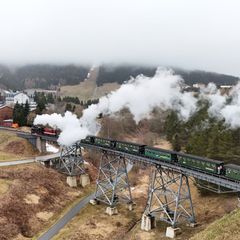 Die Schmalspurbahn fährt zwischen Oberwiesenthal und Cranzahl. Foto: Sebastian Willnow/dpa