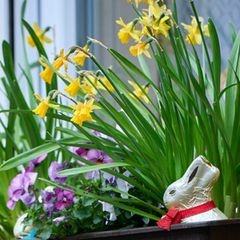 Wetter am Ostersonntag wechselhaft – doch der Frühsommer naht