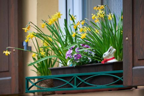 Wetter am Ostersonntag wechselhaft – doch der Frühsommer naht