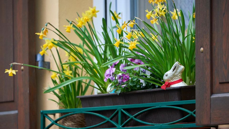 Wetter am Ostersonntag wechselhaft – doch der Frühsommer naht