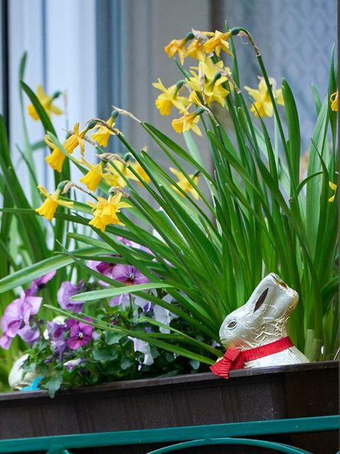 Wetter am Ostersonntag wechselhaft – doch der Frühsommer naht