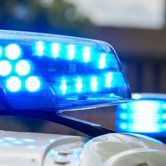 Die alarmierten Einsatzkräfte zogen das tote Tier aus dem Fluss Nidda. (Symboldbild) Foto: Soeren Stache/dpa