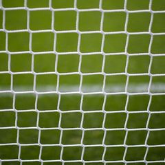 Ein Rehbock hat sich in einem Fußballtornetz verfangen. (Symbolbild) Foto: picture alliance / dpa