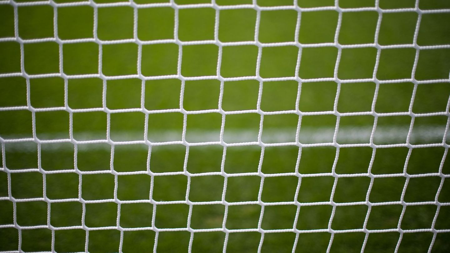 Tier in Not: Rehbock verheddert sich im Netz eines Fußballtores