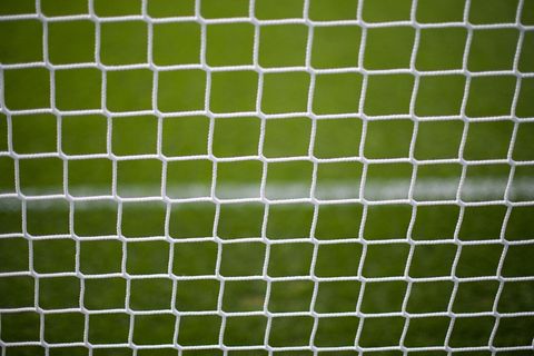 Ein Rehbock hat sich in einem Fußballtornetz verfangen. (Symbolbild) Foto: picture alliance / dpa