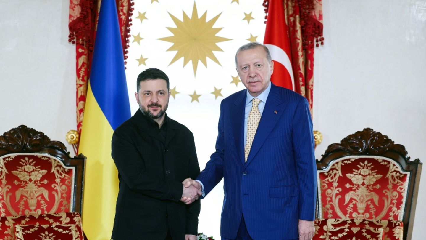 Selenskyj (l.) und Erdogan