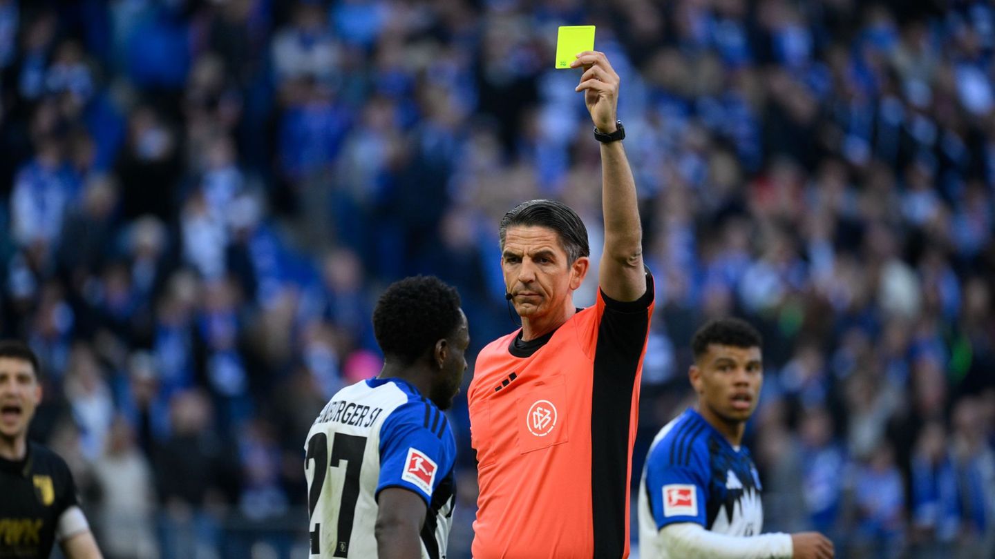 Schiedsrichter Deniz Aytekin erlebte eine kuriose Szene in Hamburg. Foto: Gregor Fischer/dpa