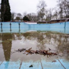Im Sommerbad Humboldthain liegt Laub im Schwimmbecken. (Archivbild) Foto: Christophe Gateau/dpa