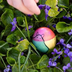Am Ostersonntag werden in Thüringen Sonne, Regen und Wind erwartet. (Archivbild) Foto: Michael Reichel/dpa