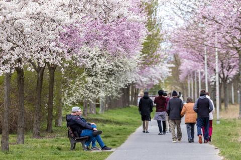 Das Osterfest in Brandenburg ist laut Polizei bisher friedlich verlaufen. (Archivbild) Foto: Frank Hammerschmidt/dpa