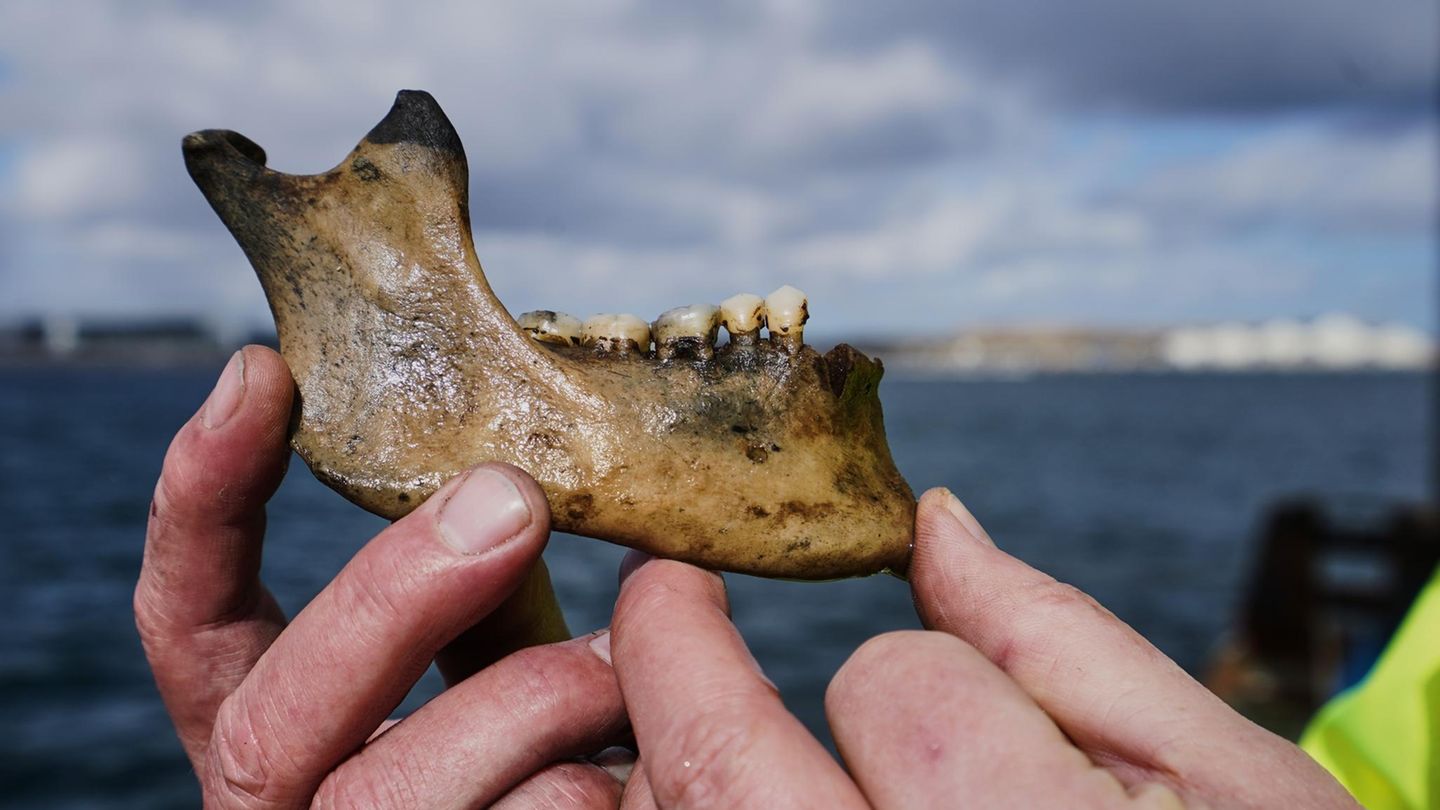 „Dannebroge“: Forscher entdecken vor 225 Jahren gesunkenes Kriegsschiff