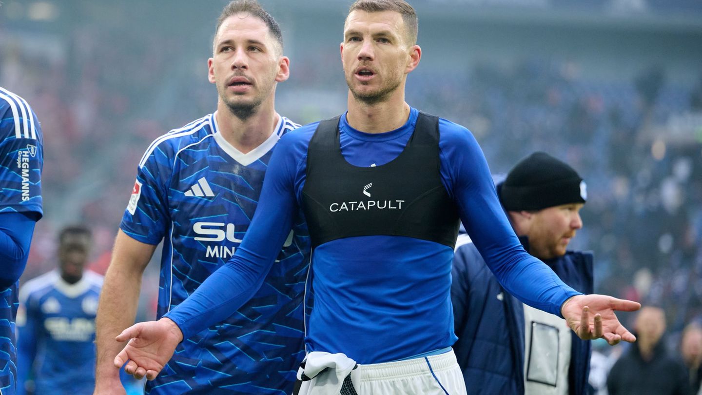 2. Fußball-Bundesliga: Schalke befürchtet Saison-Aus für Katic - Update zu Dzeko
