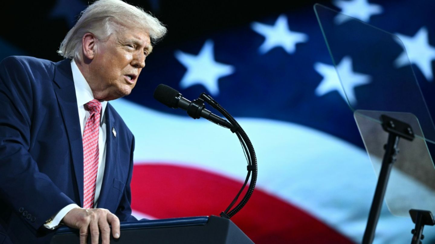 Trump: Aus dem Iran geretteter Kampfjet-Pilot ist "schwer verwundet"