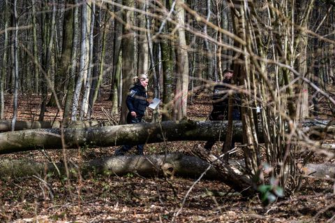 Die Polizei untersucht den Unglücksort in einem Wald nahe Flensburg