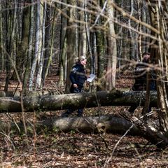 Die Polizei untersucht den Unglücksort in einem Wald nahe Flensburg