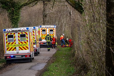 Drei Menschen sterben in einem Waldstück südöstlich von Flensburg. Foto: Benjamin Nolte/dpa