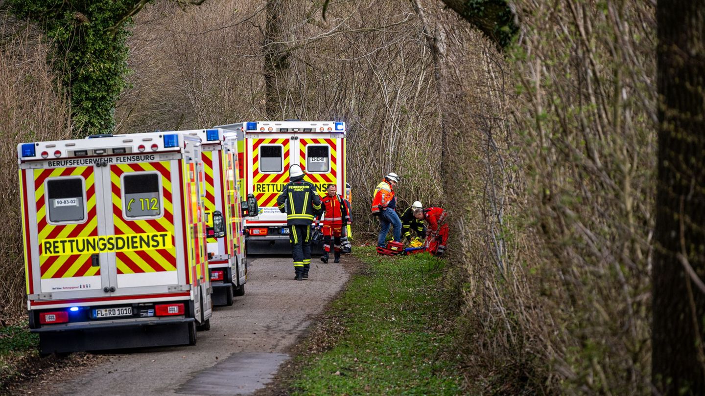 Drei Menschen sterben in einem Waldstück südöstlich von Flensburg. Foto: Benjamin Nolte/dpa