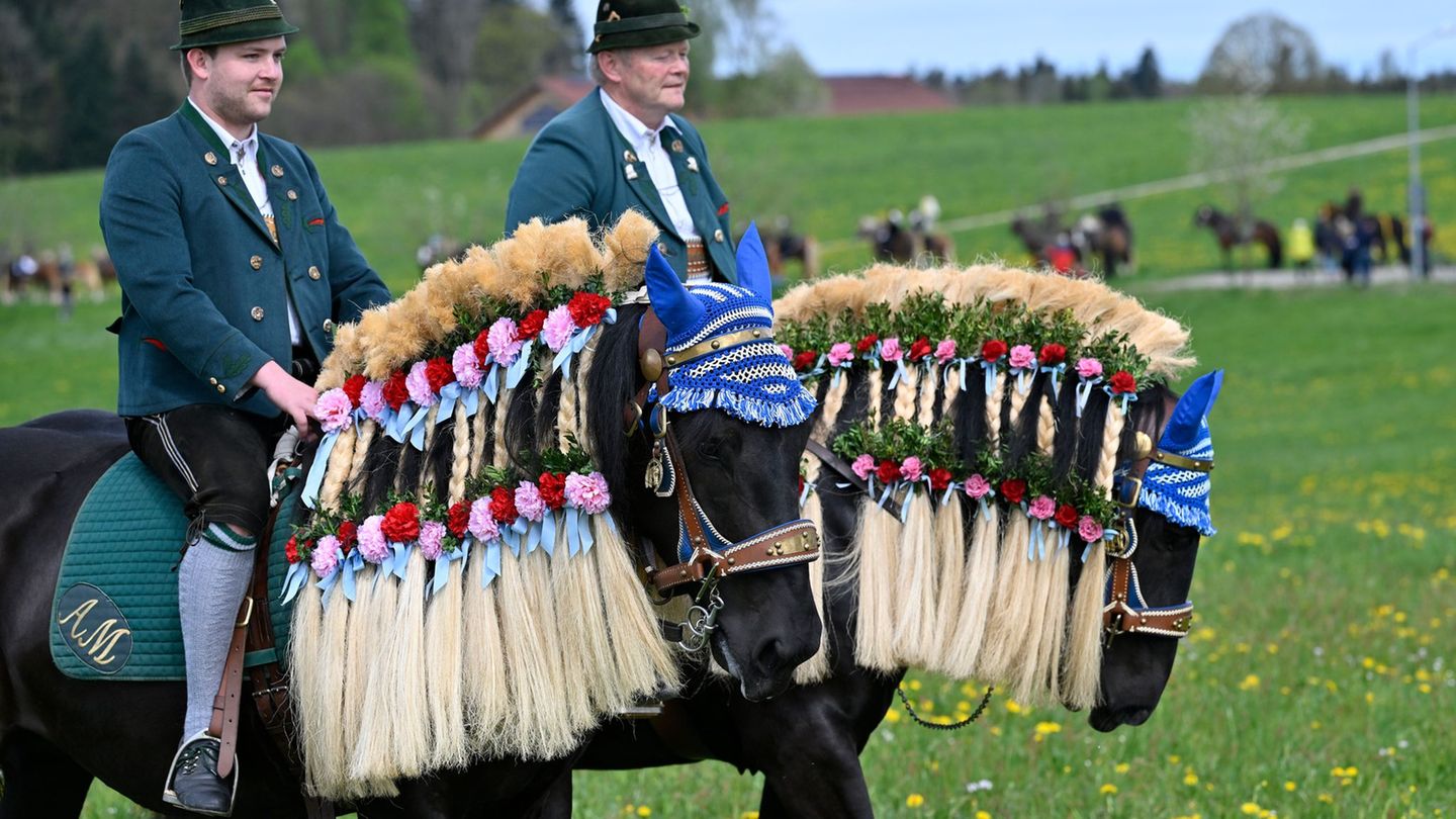 Die Pferde sind beim Georgiritt festlich geschmückt. (Archivbild) Foto: Uwe Lein/dpa