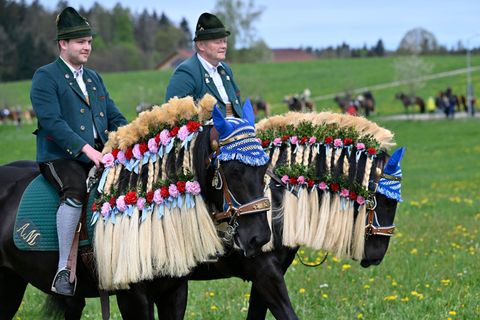 Die Pferde sind beim Georgiritt festlich geschmückt. (Archivbild) Foto: Uwe Lein/dpa