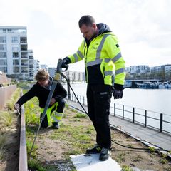 Heißes Wasser pumpen Tobias Milbrat und seine Kollegen in die Nester der Ameisen. Foto: Florian Wiegand/dpa