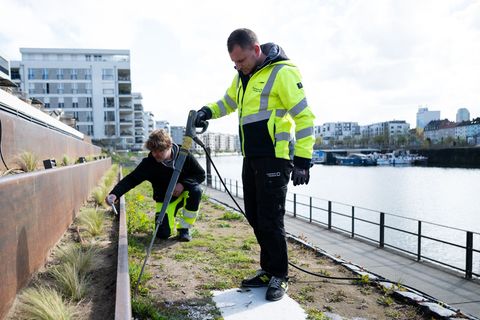 Heißes Wasser pumpen Tobias Milbrat und seine Kollegen in die Nester der Ameisen. Foto: Florian Wiegand/dpa