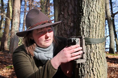 Wildkameras haben speziell für Wildkatzen präparierte Lockstöcke fest im Blick. Foto: Bernd Wüstneck/dpa