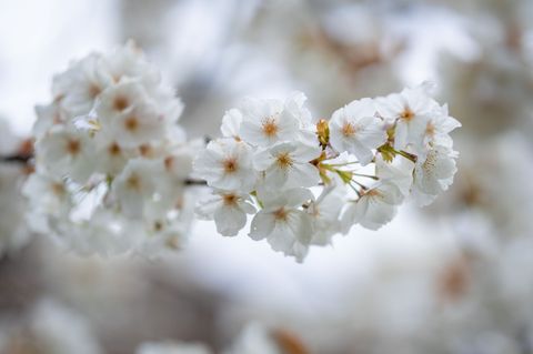 Das Wetter an Ostermontag wird überwiegend freundlich. (Archivbild) Foto: Christoph Schmidt/dpa