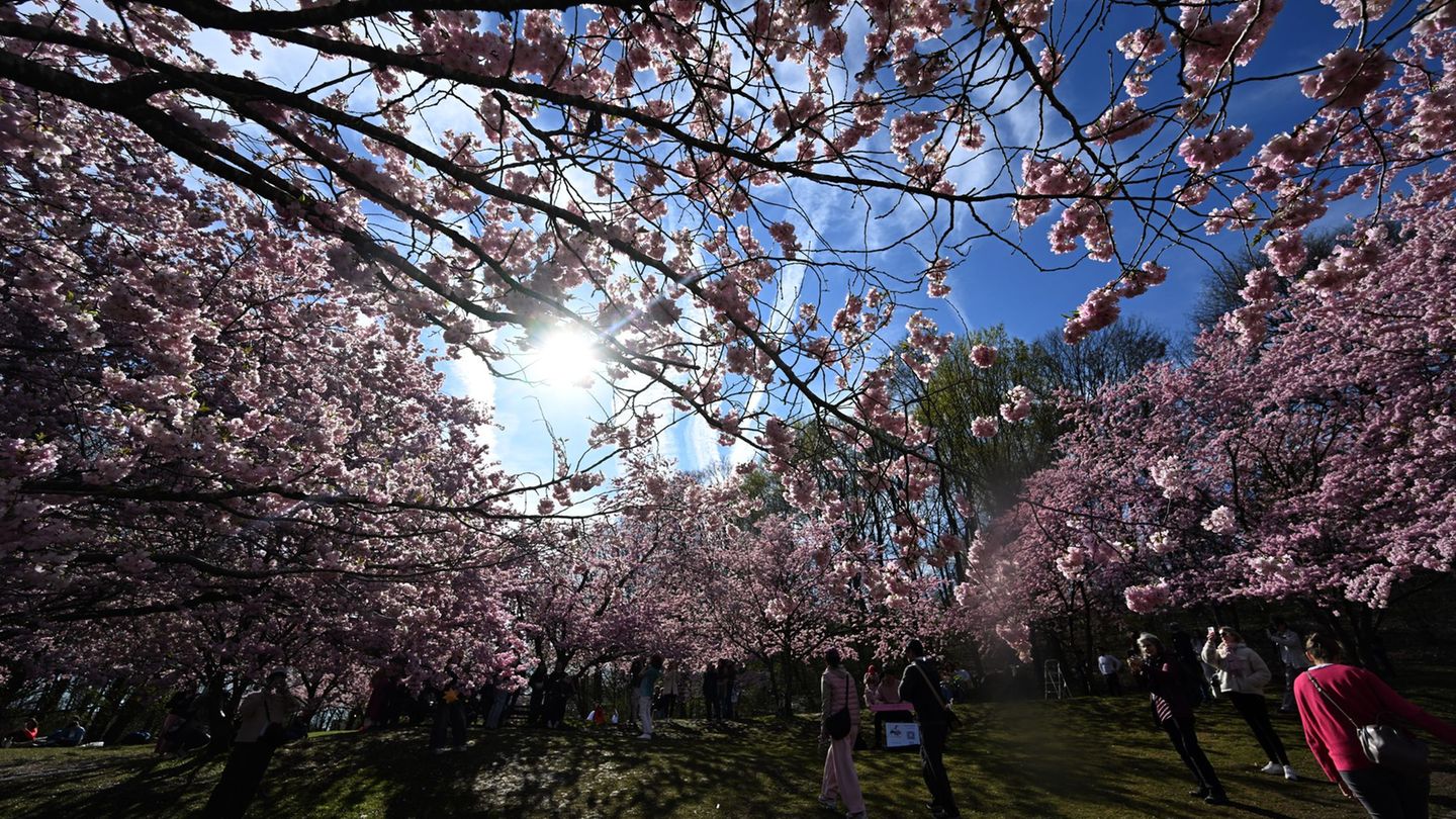 Wetterbericht: Frühling in Sichtweite: Viel Sonne und milde Temperaturen