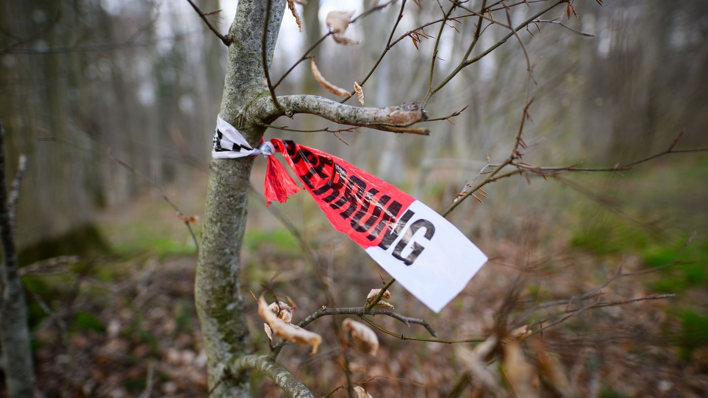 Unglück: Nach Baumunglück: Ermittler suchen nach Ursache