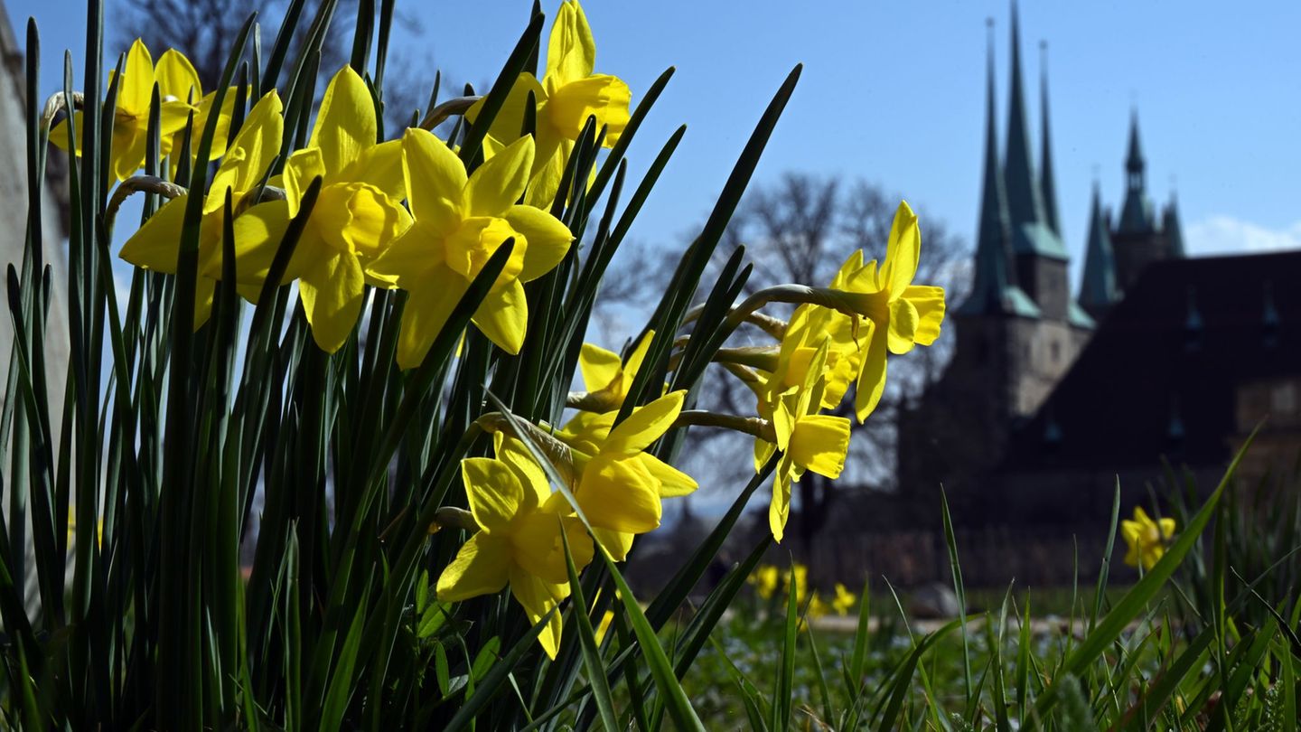 Wetterausblick: An diesen Tagen kommt nach Ostern die Sonne raus