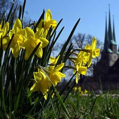 Im Sachsen, Sachsen-Anhalt und Thüringen zeigt sich in dieser Woche oft die Sonne. (Archivbild) Foto: Martin Schutt/dpa