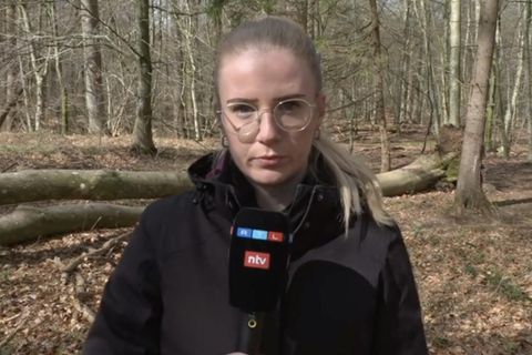 Baumunglück bei Flensburg: Polizei leitet „Todesermittlungsverfahren“ ein